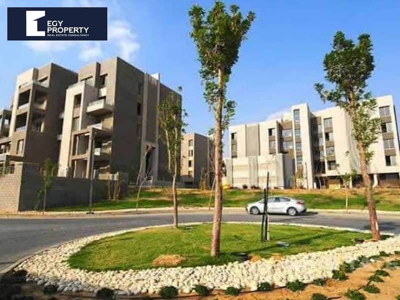 5 palm hills (15). jpeg