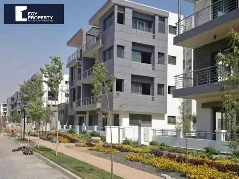 6 palm hills (16). jpeg