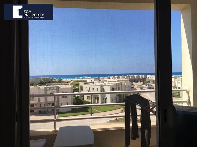 8 f37aa534-06ba-4f96-8211-0b5791f7004b. jpg