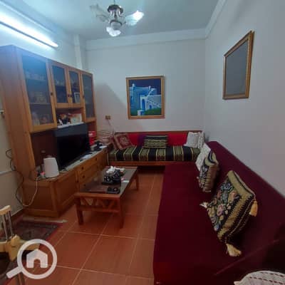 3 Bedroom Flat for Sale in Gianaclis, Alexandria - WhatsApp Image 2025-10-20 at 12.36. 18 PM. jpeg