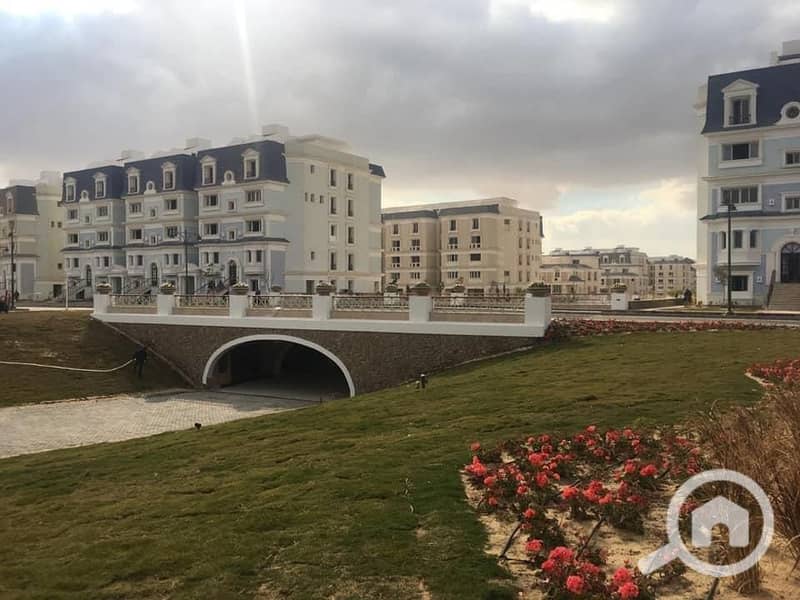 3 WhatsApp Image 2025-10-18 at 12.53. 50_2e311382. jpg