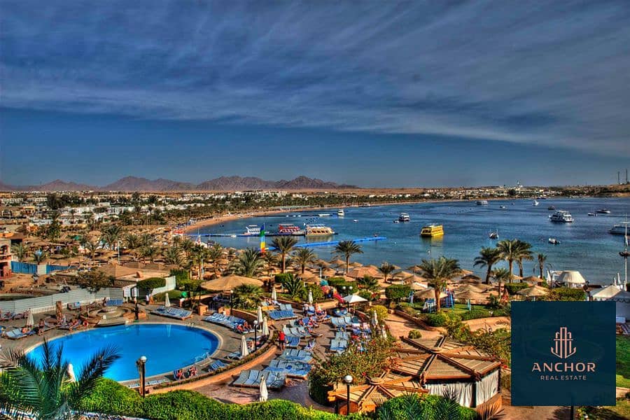 7 9_900x600 (1). jpg