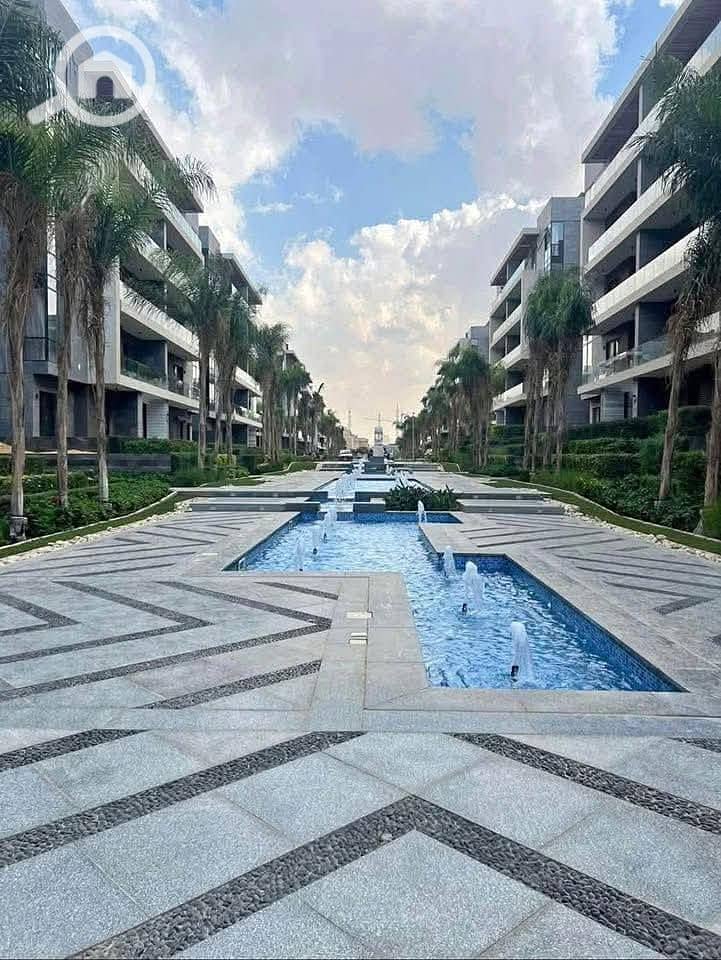 7 549509656_1327134095492493_6791631178340027241_n. jpg