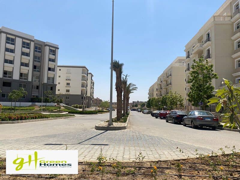 11 WhatsApp Image 2023-08-17 at 11.10. 47 AM. jpeg