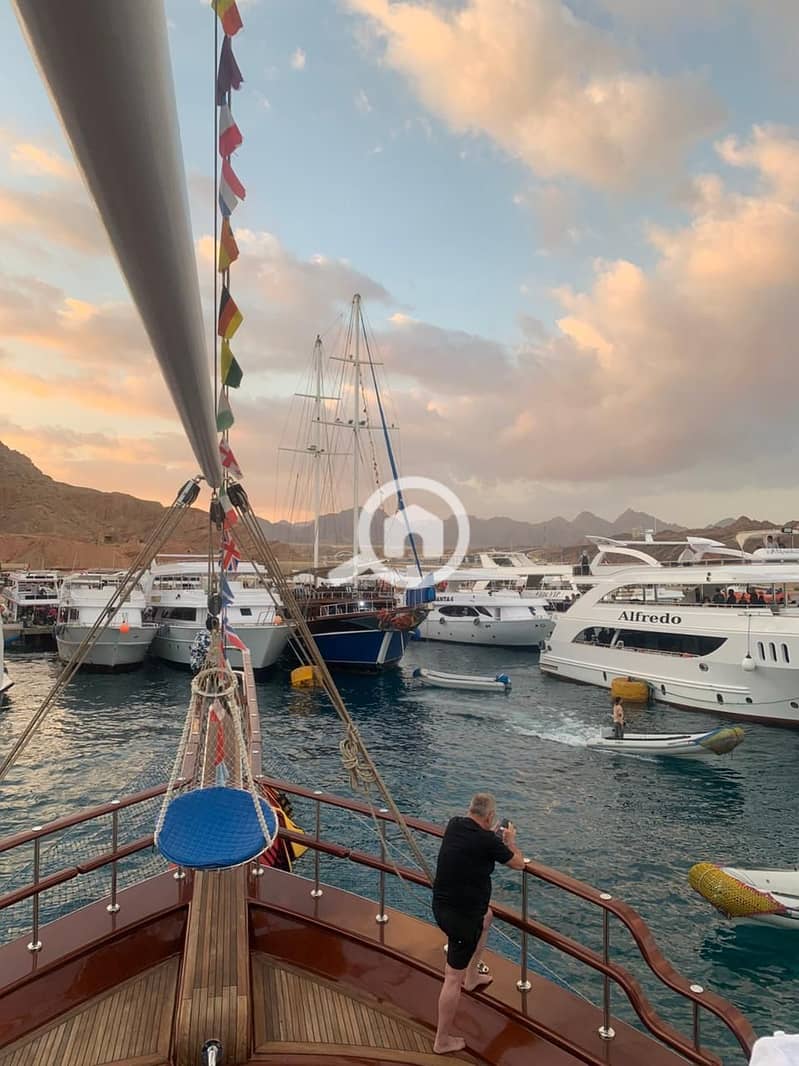 13 sharm bob and city tour 4. jpg