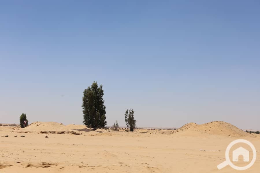 IMG_0229. JPG IMG_0229. JPG