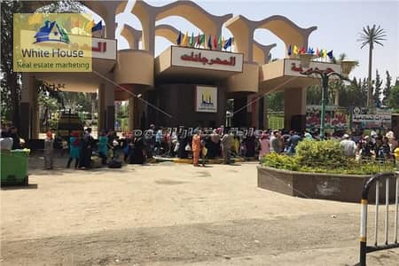 Restaurant & Cafe for Rent in Nasr City, Cairo - 481782676_1097652072376793_53198866781814020_n. jpg