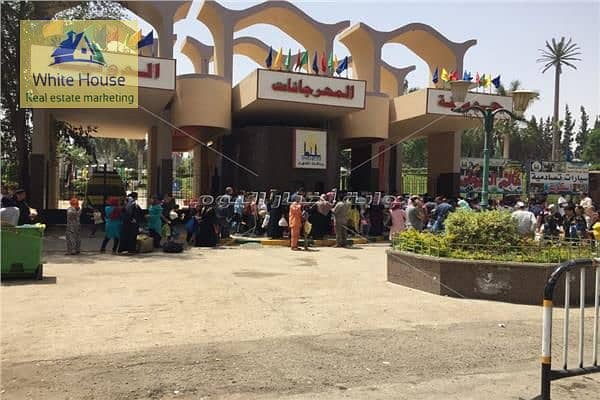 481782676_1097652072376793_53198866781814020_n. jpg 481782676_1097652072376793_53198866781814020_n. jpg