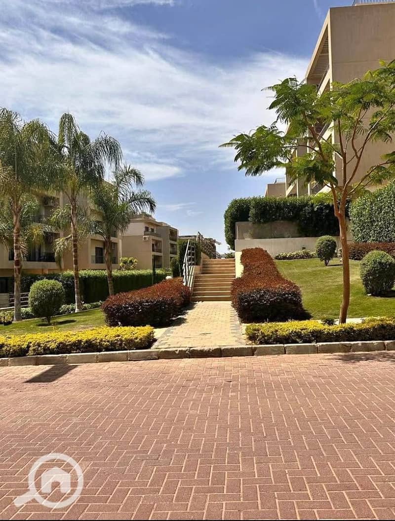 4 7f11db6f-def1-4038-b8b1-ef215ed621fb. jpg