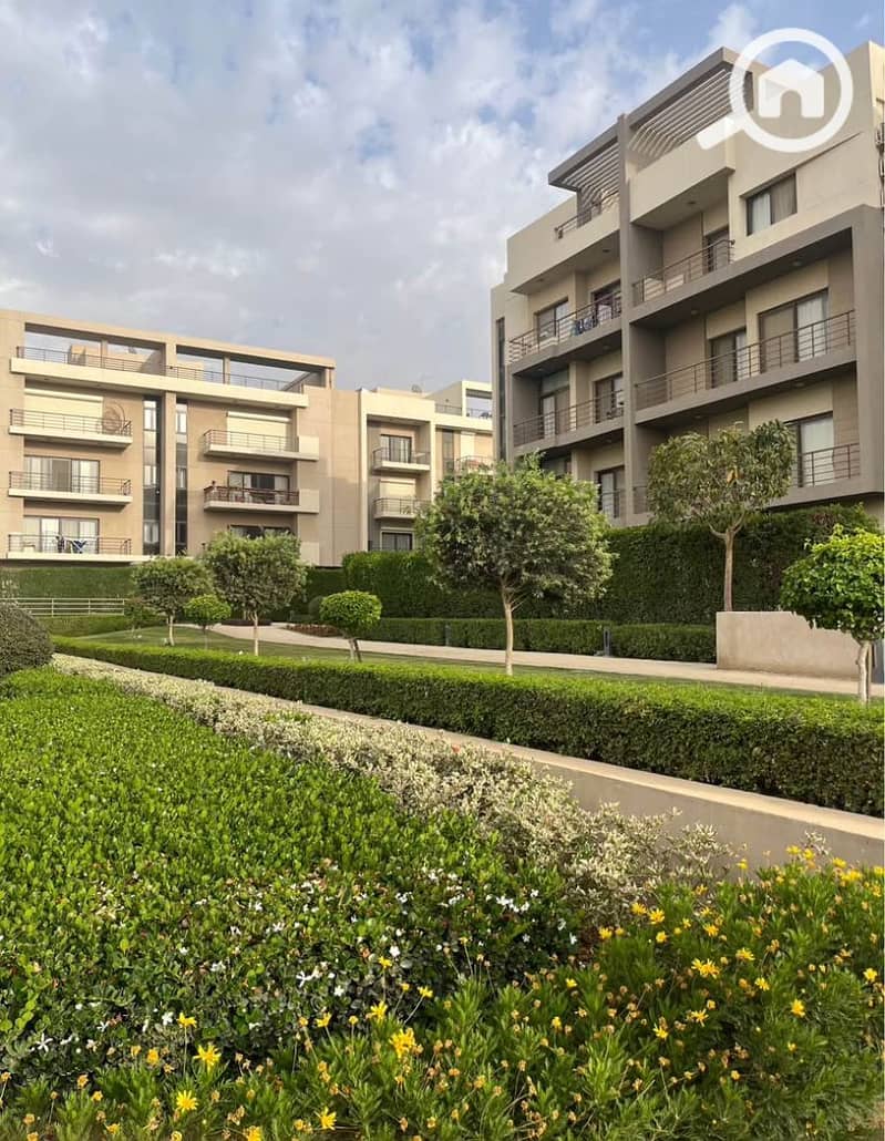 6 6172cc30-06af-4bdc-8ef4-8bfa33b0552d. jpg