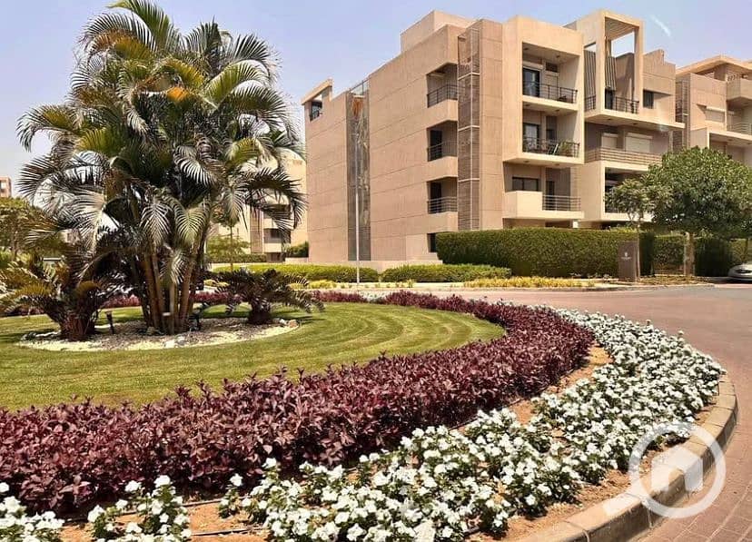 7 9237a671-691b-4e72-b104-3c20da833031. jpg