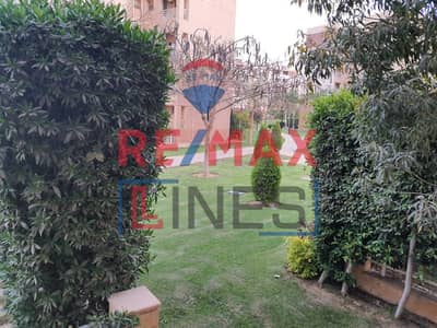 1 Bedroom Flat for Sale in Madinaty, Cairo - WhatsApp Image 2025-10-20 at 1.39. 05 PM. jpeg