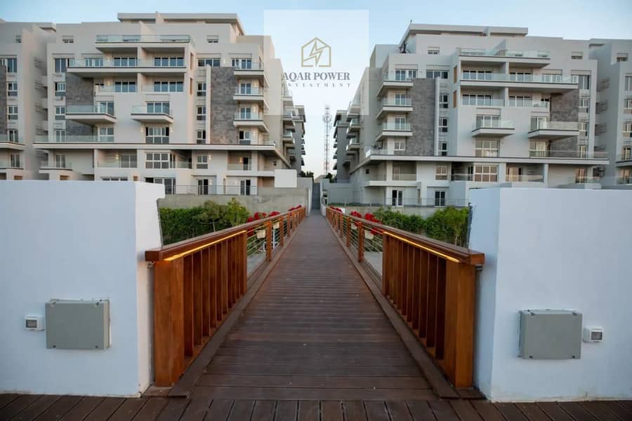 2 353e088e-7a9a-43d5-be39-03d09ffb0c86. jpeg