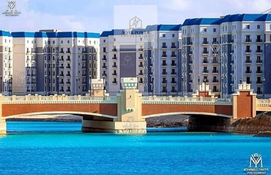 7 WhatsApp Image 2025-07-06 at 21.33. 56_9049edb2. jpg