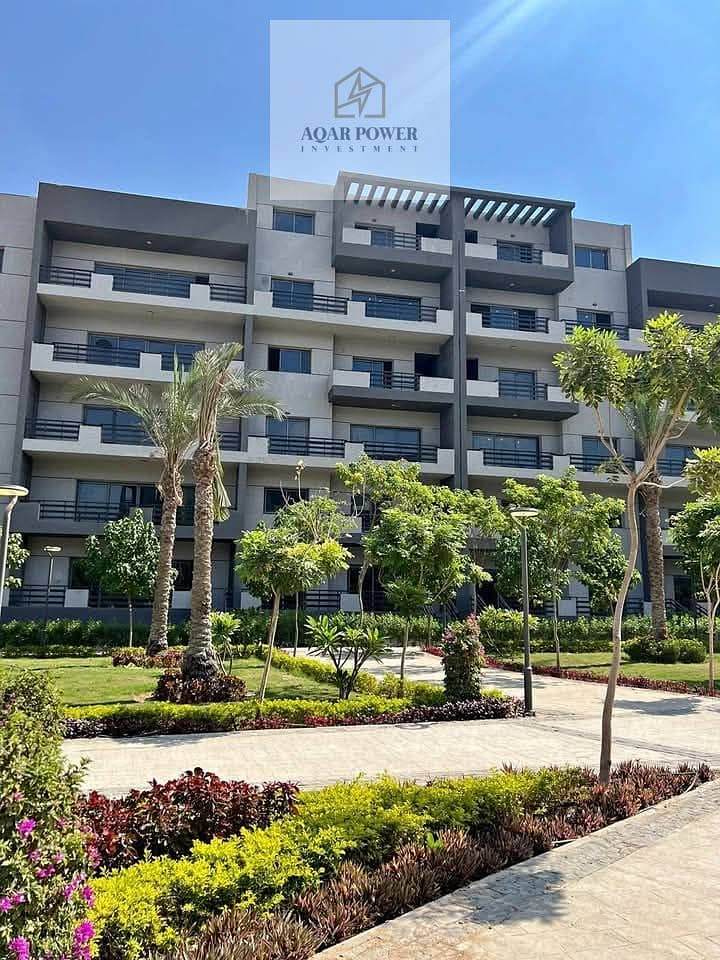 9 523464356_122169307808529690_7839455578553739423_n. jpg