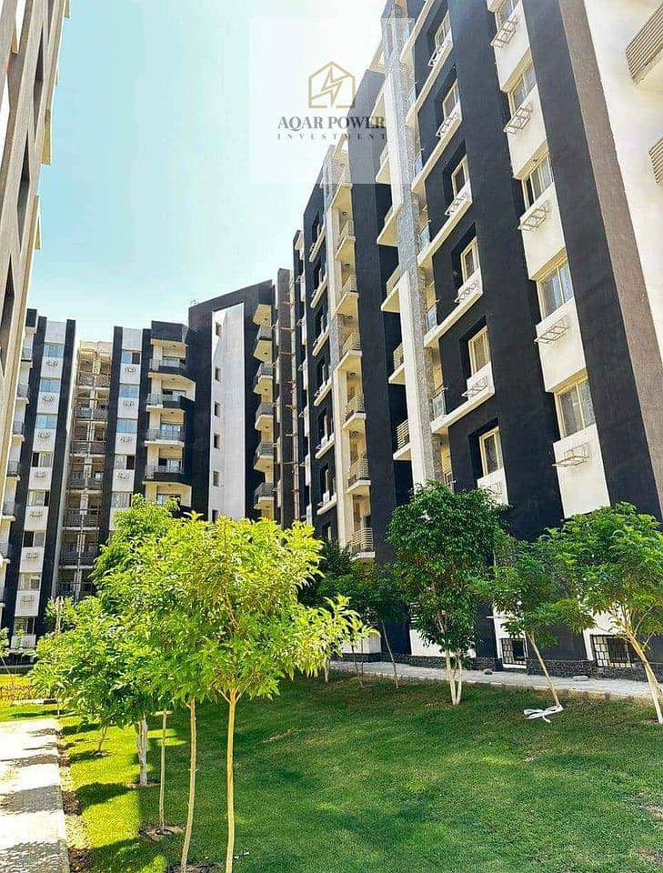 8 457016174_2925215527652037_8561637936521566863_n. jpg