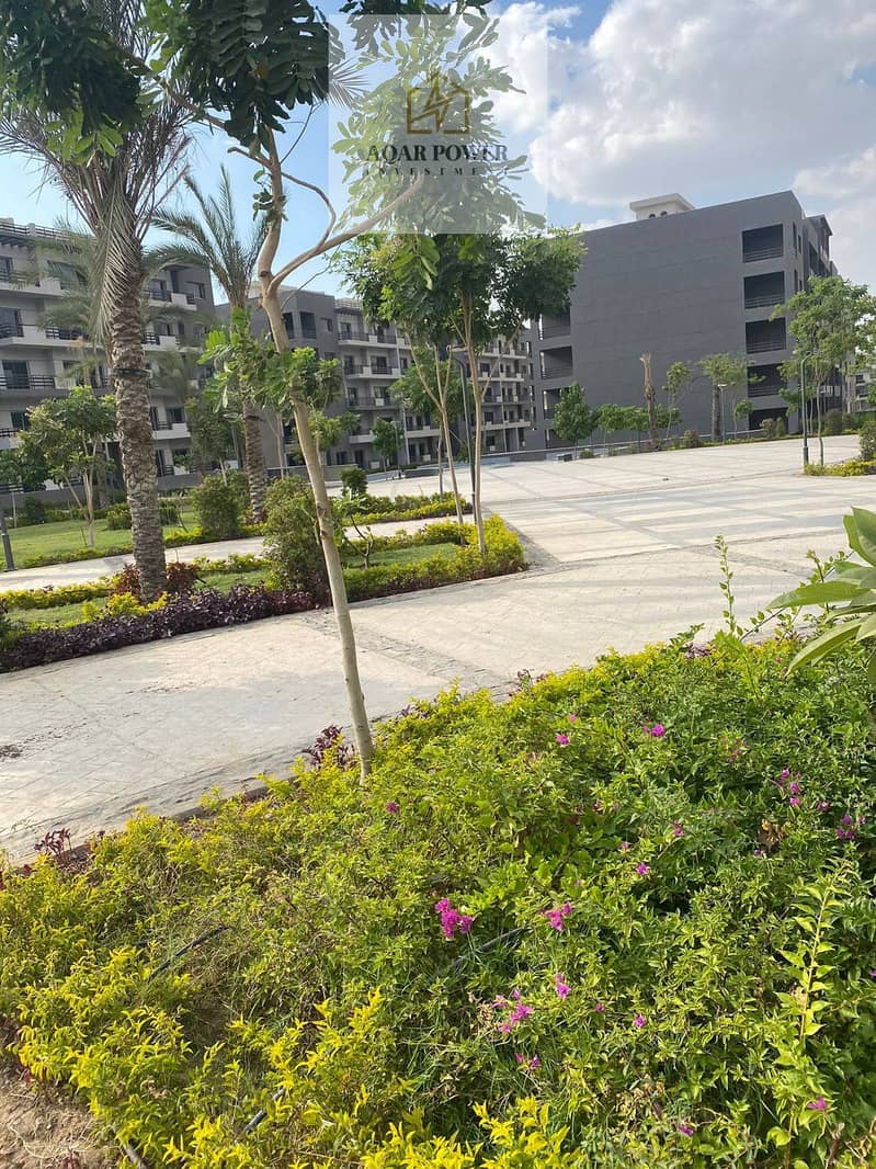 6 518114754_707212009028446_8984745325174975384_n. jpg