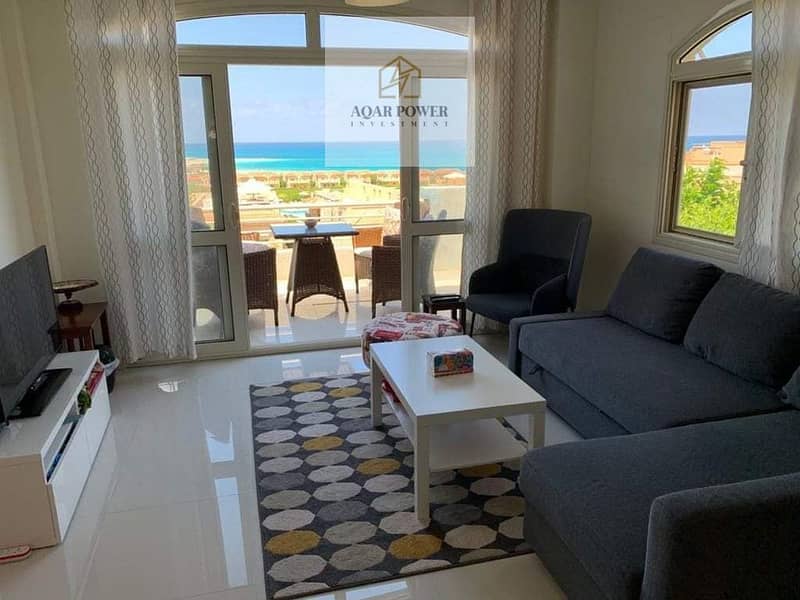 5 310485264_2891004917870915_3740053076783596019_n - Copy. jpg