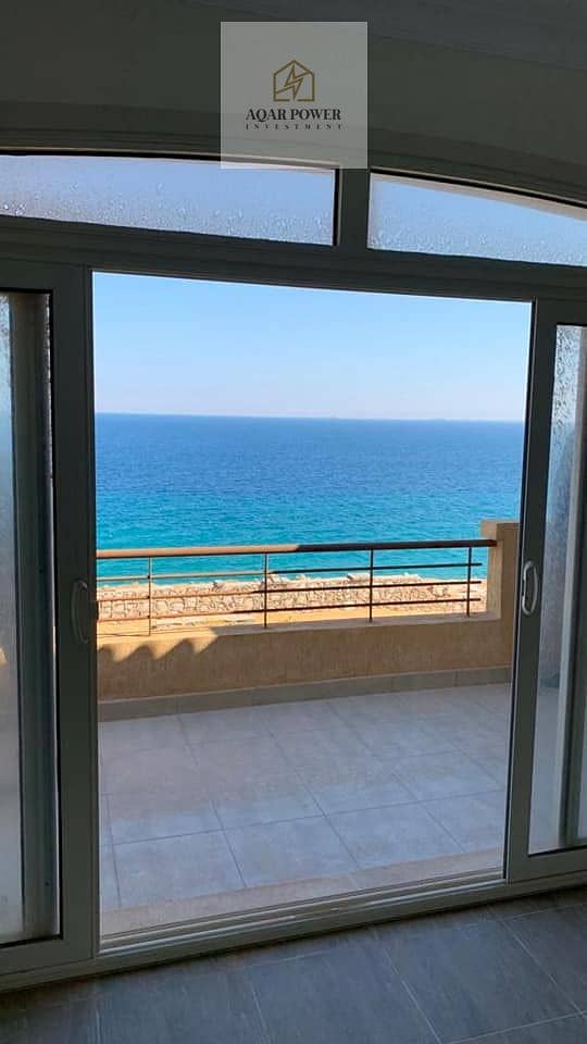 8 285391528_10158558150932621_4931973879498668450_n. jpg