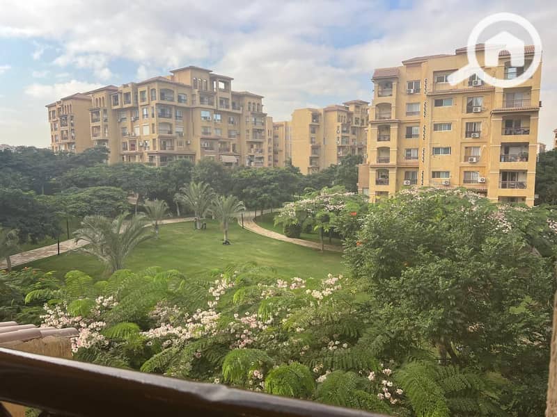 3 photo_2025-10-20_15-22-02. jpg