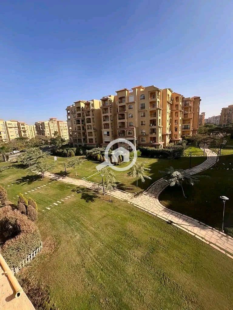 1753633010952. jpg 1753633010952. jpg