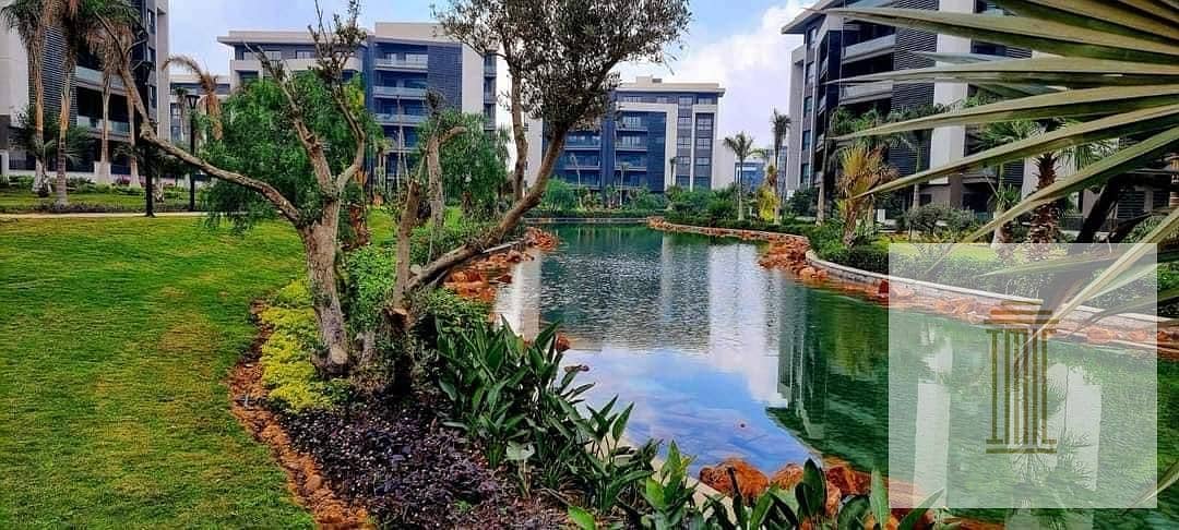 2 WhatsApp Image 2025-06-30 at 17.10. 37_7992b544. jpg