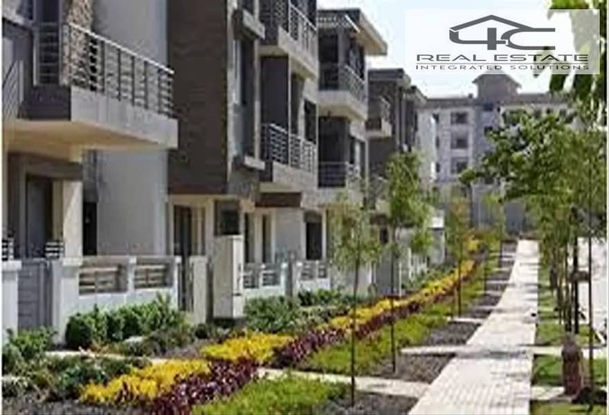 10 6653344-fe53co. png