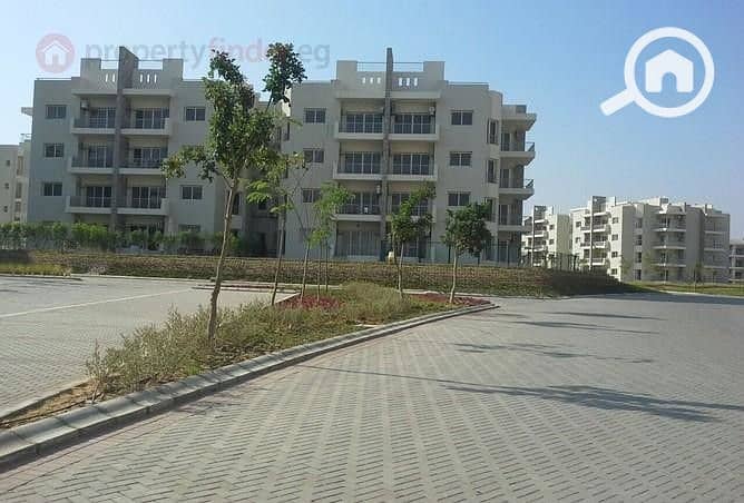 10 IMG-20251013-WA0065. jpg