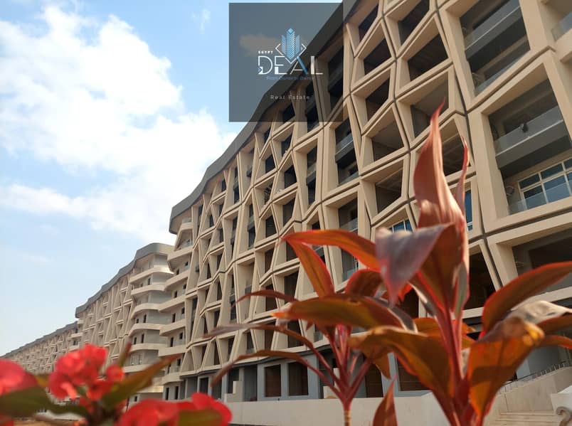 6 صورة واتساب بتاريخ 2025-02-13 في 18.11. 02_6671640e. jpg