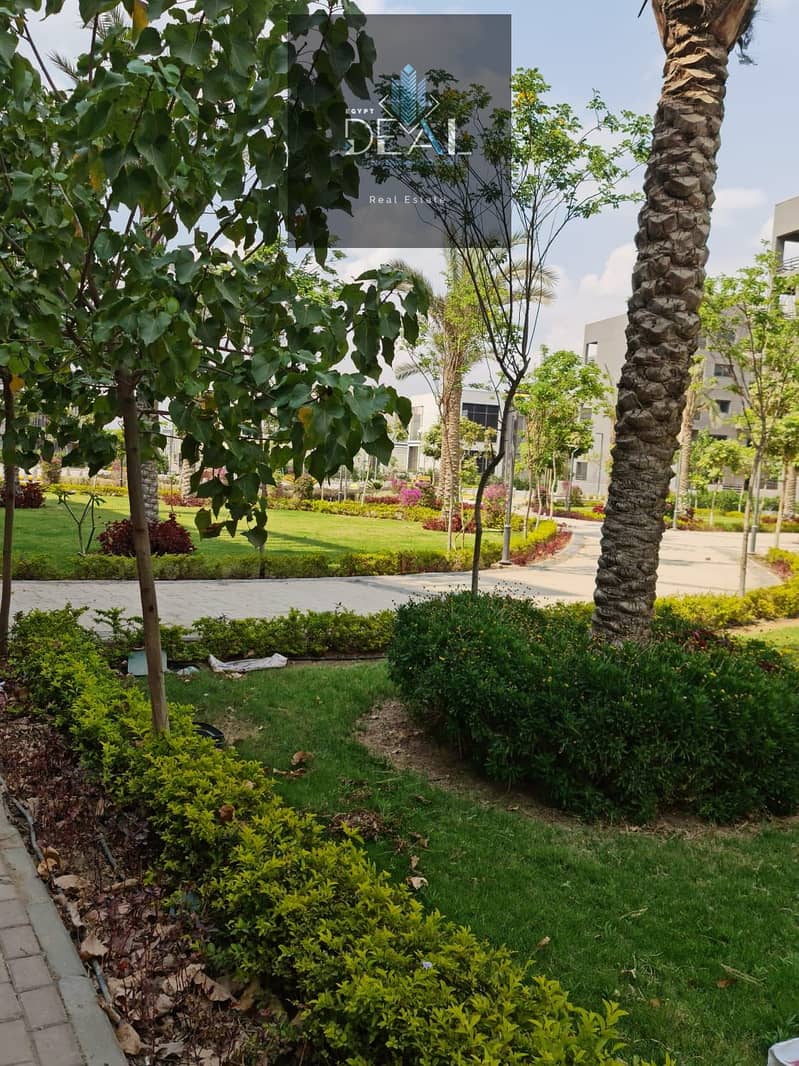 3 صورة واتساب بتاريخ 2025-05-04 في 17.10. 07_fe702838. jpg