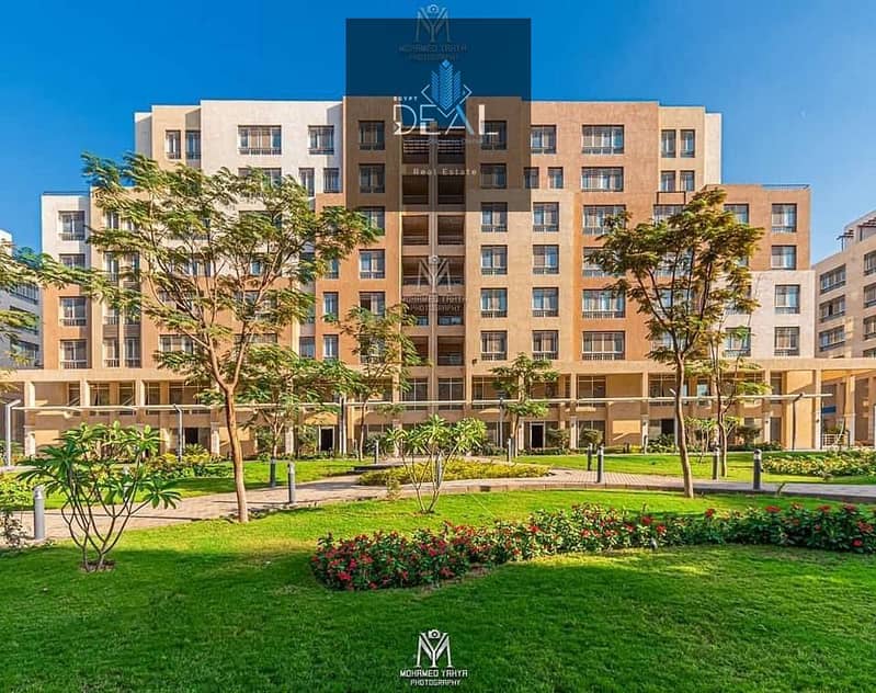 4 صورة واتساب بتاريخ 2025-05-27 في 16.28. 35_7d27f141. jpg