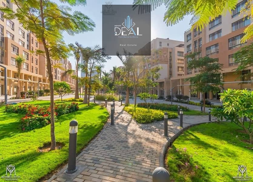 5 صورة واتساب بتاريخ 2025-03-29 في 16.05. 16_8f047567. jpg