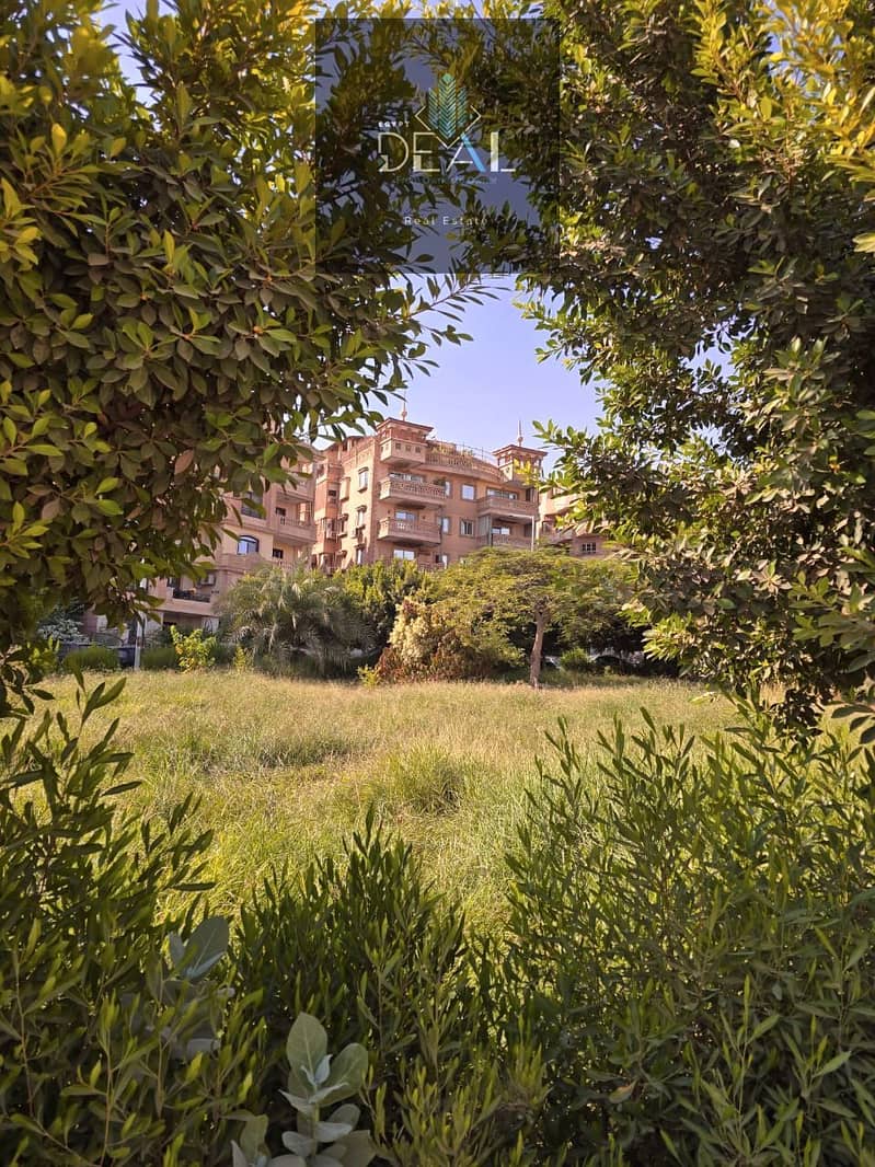 2 صورة واتساب بتاريخ 2025-09-01 في 17.55. 41_ab03d6d7. jpg