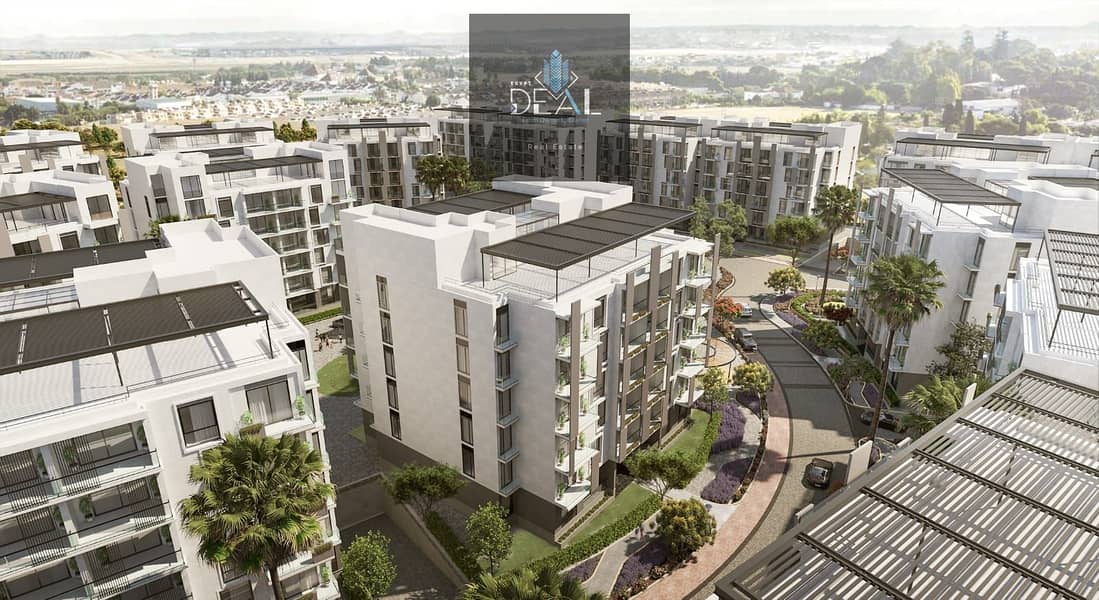 2 IMG-20250810-WA0625 - Copy. jpg