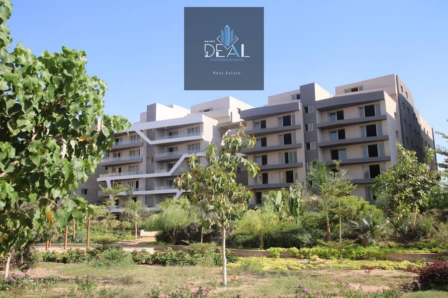 3 IMG-20250903-WA0165. jpg