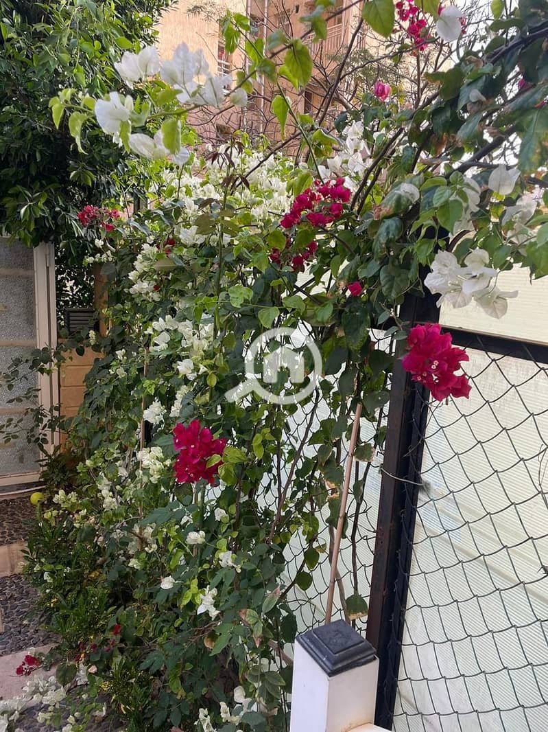 5 whatsapp image 2025-10-14 at 2.09. 35 pm (3). jpeg