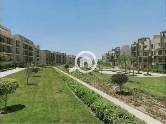 5 95600d6e-e38d-41f6-a5ed-15a89c9db2ed. jpg