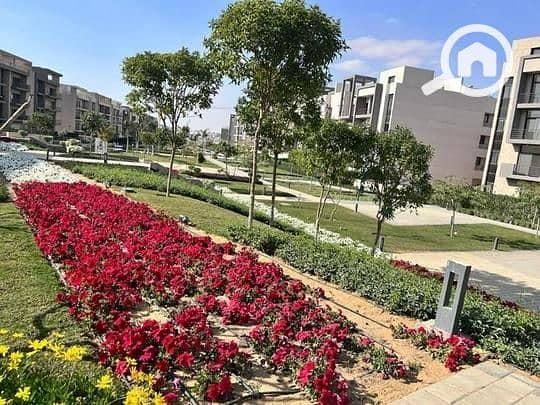 6 3147ddc6-f389-42a9-b050-9e573fcf8619 - Copy. jpg