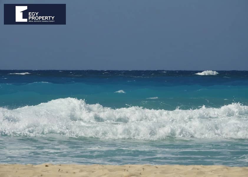 12 WhatsApp Image 2025-10-20 at 16.58. 06. jpeg