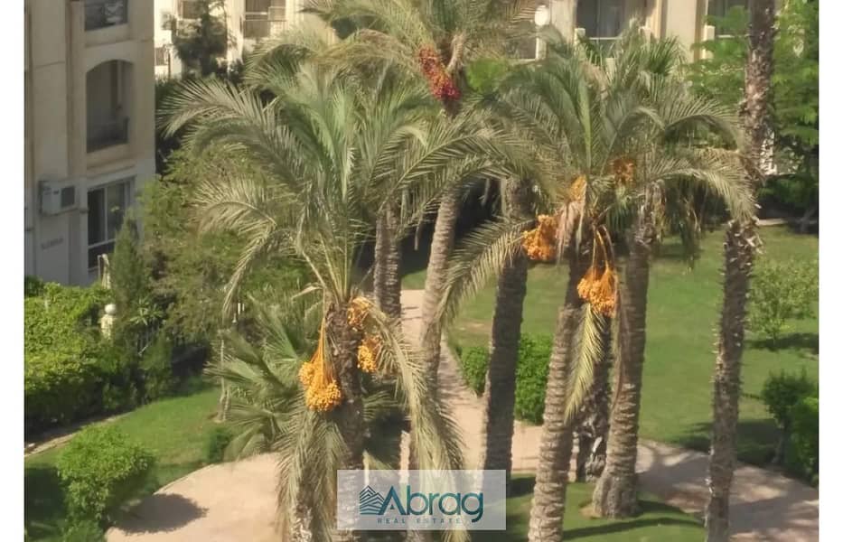 7 7725757-45d85o. jpg