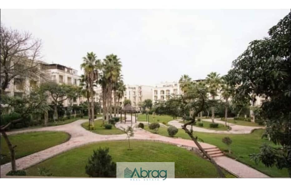 10 517460319_10163677547046882_7580549378823839690_n. jpg