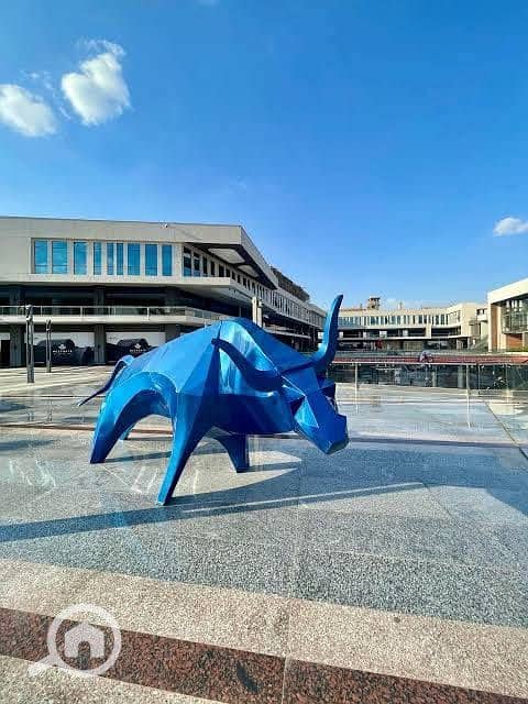 5 558051315_122141242436727954_719758025298542478_n. jpg