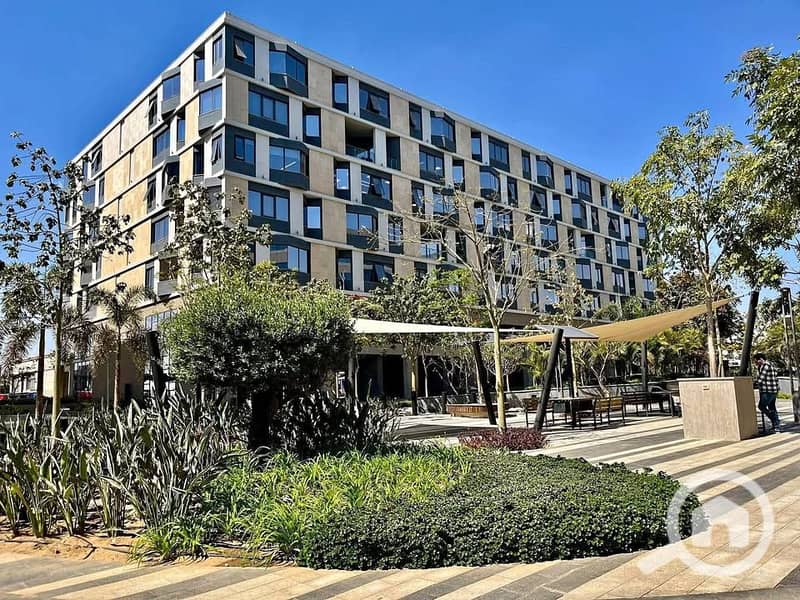 5 540980304_1096368202692486_1299738529368492040_n. jpg