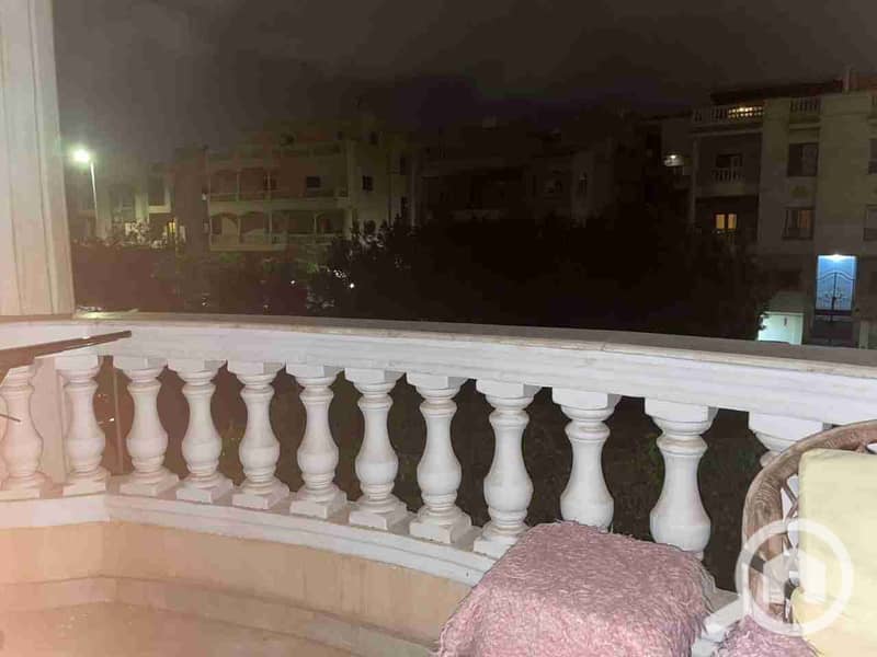 1000546203. jpg 1000546203. jpg