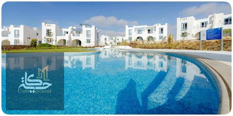 3 MOUNTAIN-VIEW. jpg