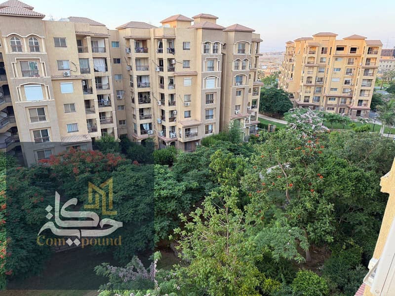 3 5906617481806596538. jpg