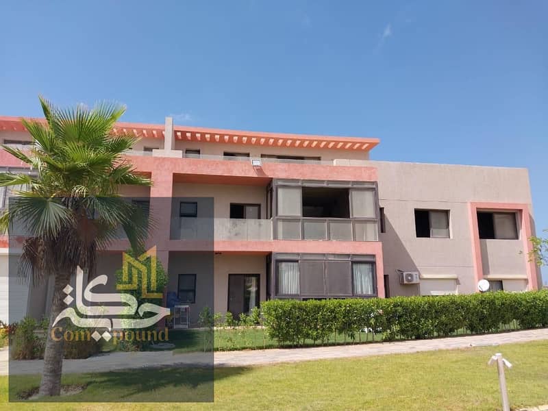 5 photo_5945173128344880709_y. jpg