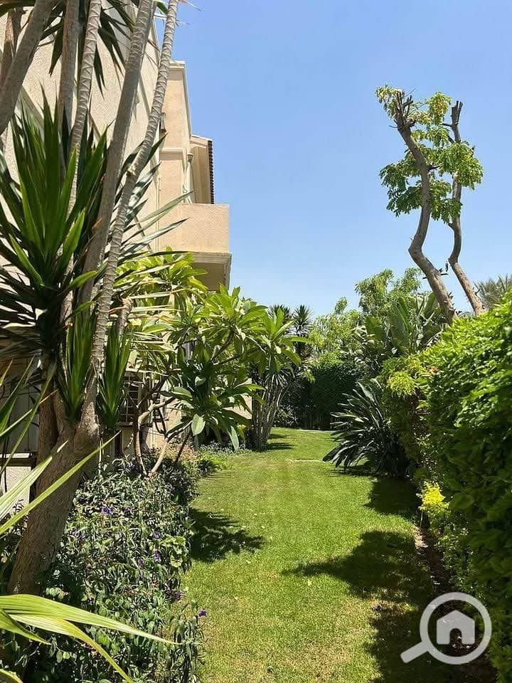 3 506831917_2125581357915044_565761384314927699_n. jpg