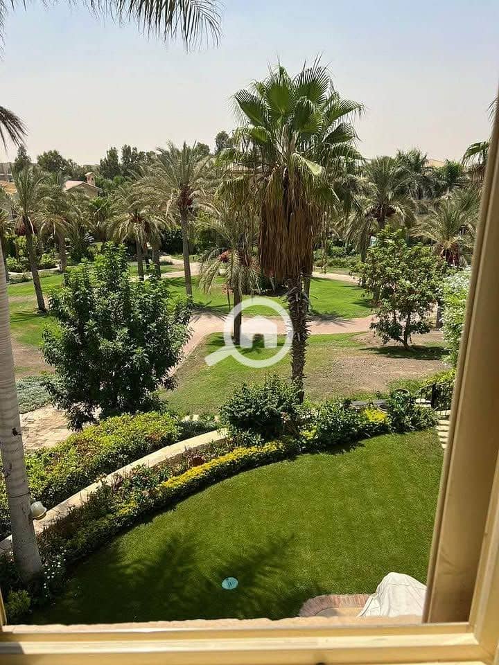 4 506946607_1376242690260514_4225935556981367695_n. jpg