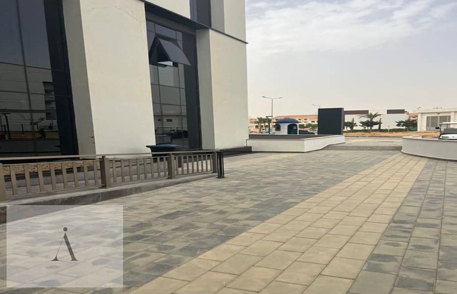 4 photo_32_2025-10-08_13-05-49. jpg